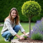 Femme souriante plantant de la lavande dans un jardin